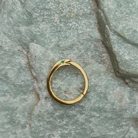 Serpent Charm Collector - Chocolate and Steel