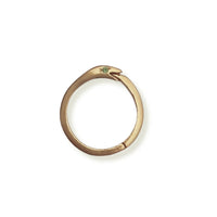 Serpent Charm Collector - Chocolate and Steel