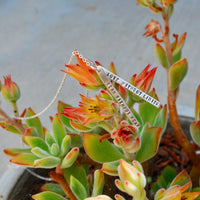 "Dream Without Fear Love Without Limits" Quote Necklace - Chocolate and Steel