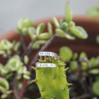 "Oh The Places You'll Go" -Dr Seuss Wrap Ring - Chocolate and Steel